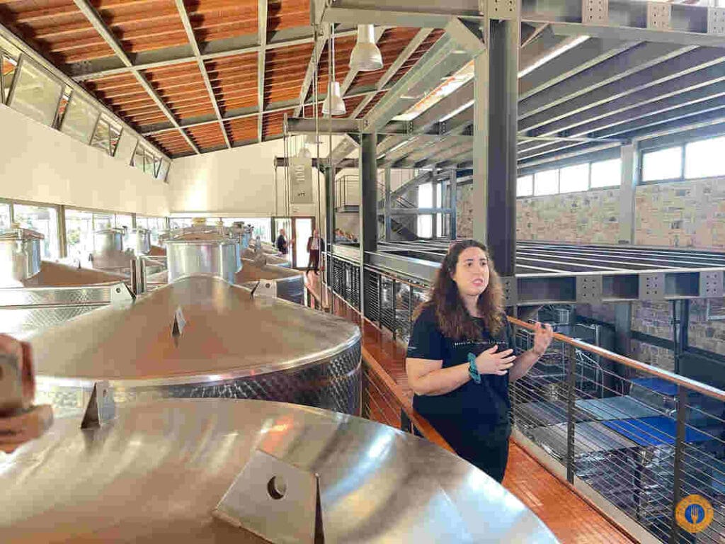 World Wine Tourism Day at Papagiannakos Winery - Gastronomy Tours Maria Christina Papagiannakos - Gastronomy Tours